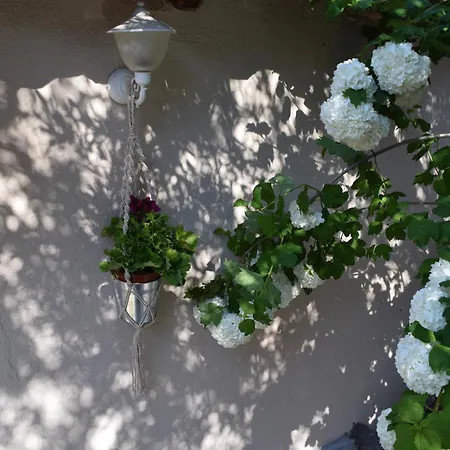 Case de vacanță Rina's House Kalambaka