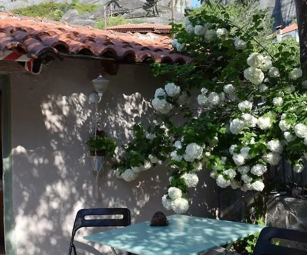 Case de vacanță Rina's House *