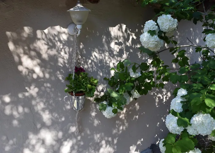 Vakantiehuis Rina's House Kalampáka